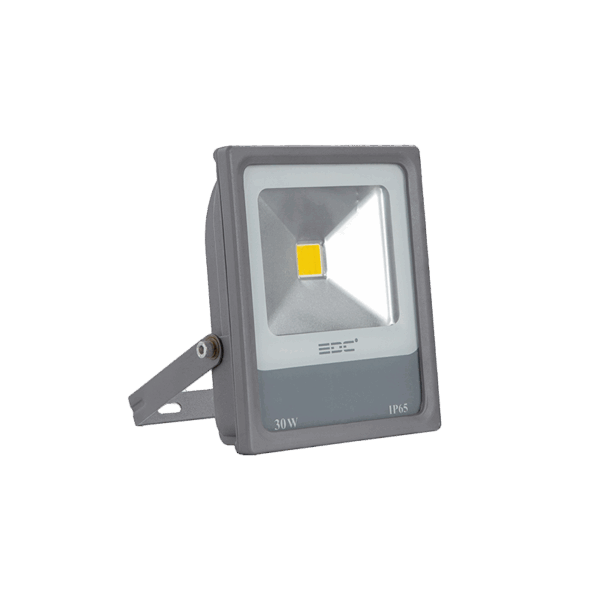 پروژکتور پریمیوم 30 وات EDC COB