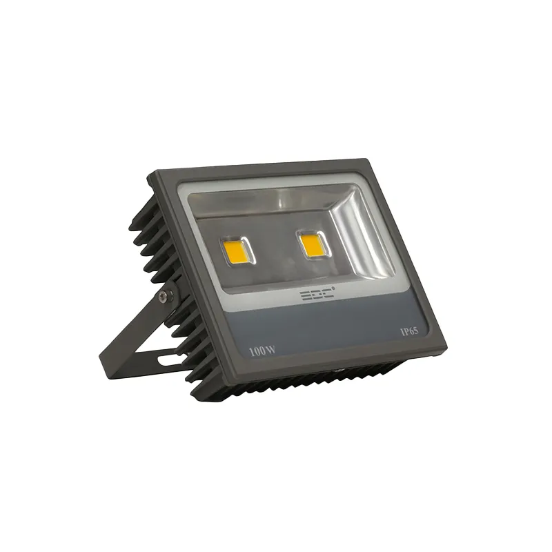 پروژکتور پریمیوم 100 وات EDC COB