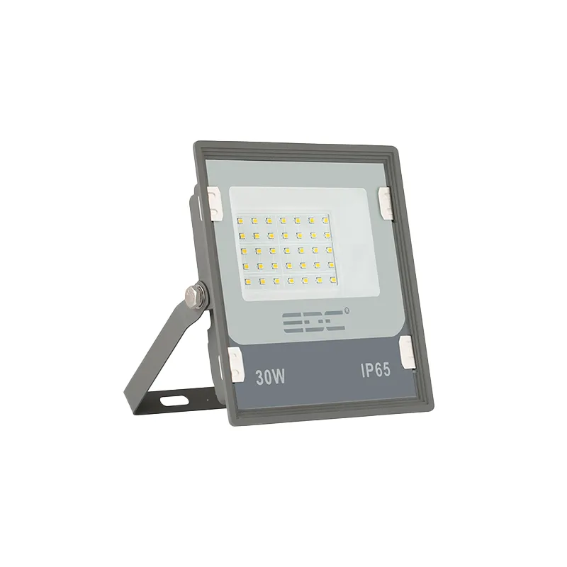 پروژکتور اکو پلاس 30 وات EDC SMD